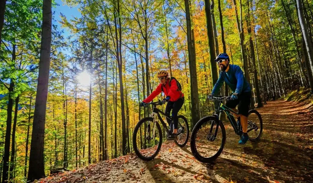 E-Bike Teile Verkäufe 27 E-Bike Teile Verkäufe -E-Bike Teile Verkäufe 5 2