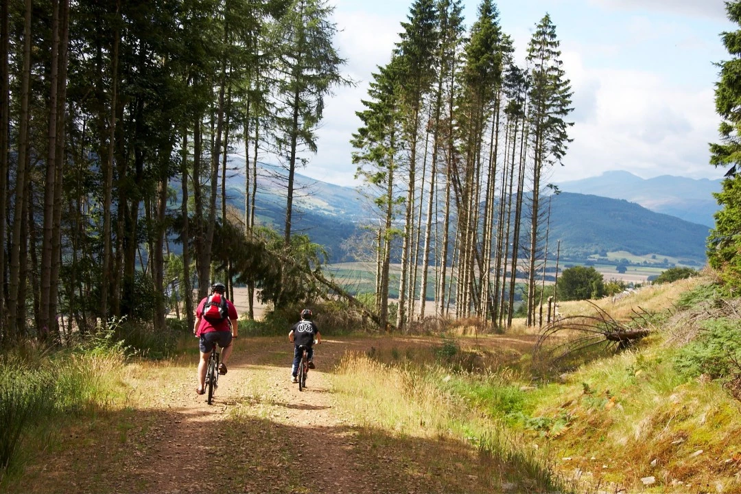 E-Bike Teile Verkäufe 26 E-Bike Teile Verkäufe -E-Bike Teile Verkäufe 5 3